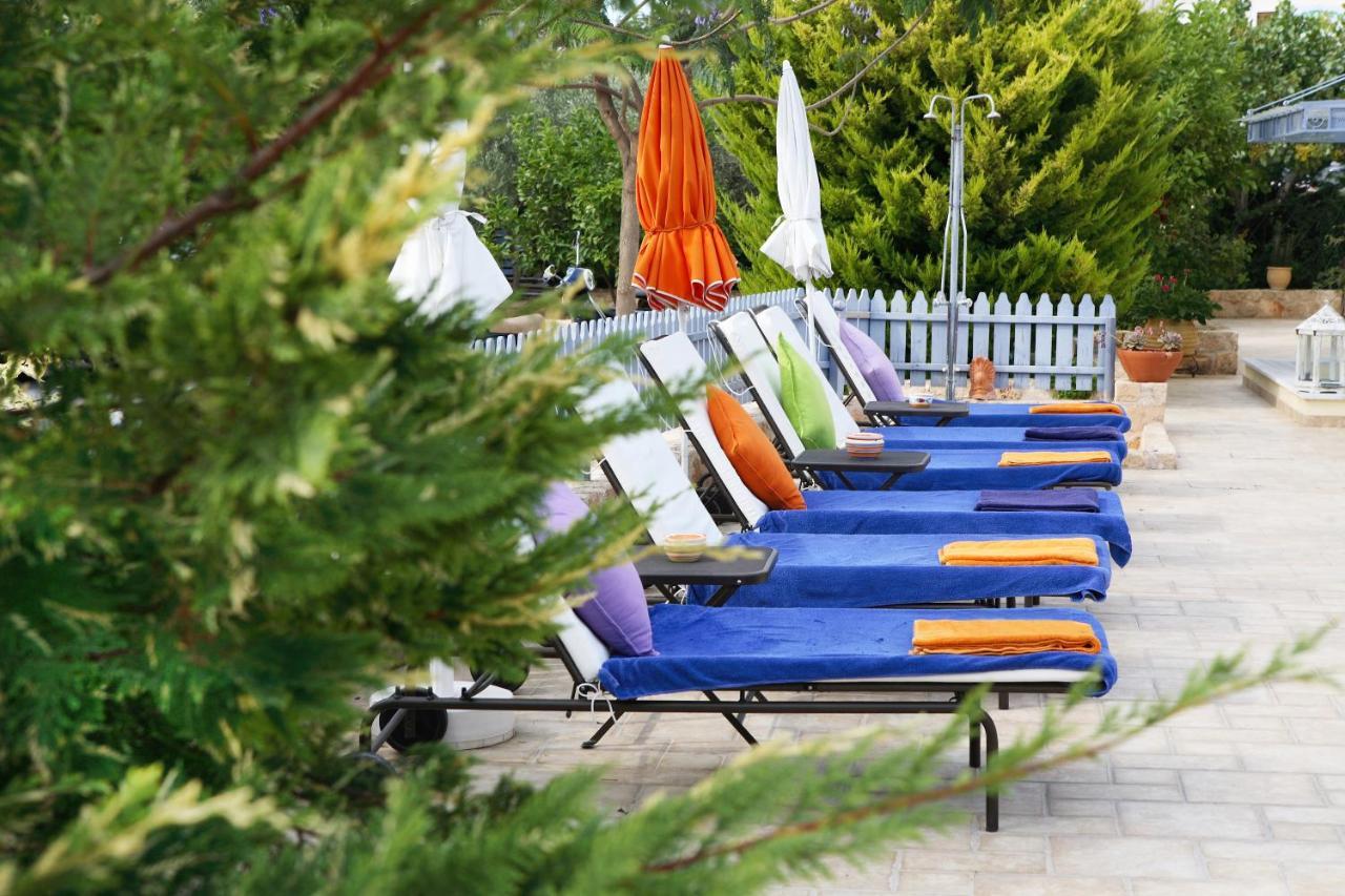Fistikies Holiday Apartments Aegina المظهر الخارجي الصورة
